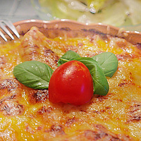 Schwerpunkt Italienisch