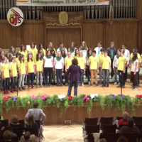 Landesjugendsingen 2013