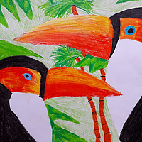 ~Tucan - 1m (17)