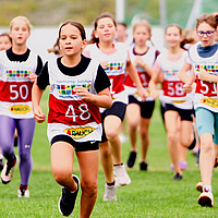 Cross Country 2026