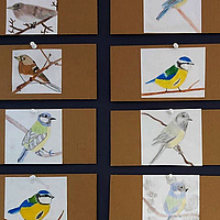 Bunte Vögel - 4b (14)