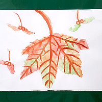 Herbst - Impressionen - 4m (8)